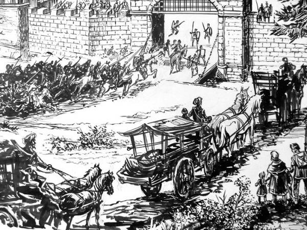 quo vadis ia